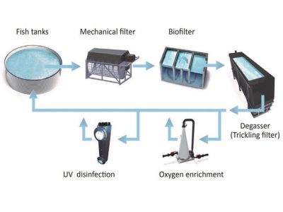 A Guide to Recirculation Aquaculture - Part 2