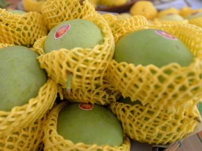 Global market share of Vietnamese mangoes remains modest