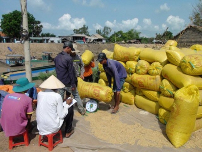 Rice production efficiency of eight provinces in Mekong Delta improved