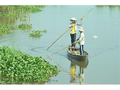 Cần Ngăn Chặn Nạn Đánh Bắt Thủy Sản Bằng Xung Điện