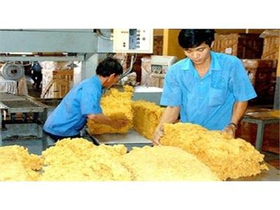 Bầu Đức Vàng Trắng Cao Su, Phụ Thuộc Một Thị Trường Sẽ Chết!