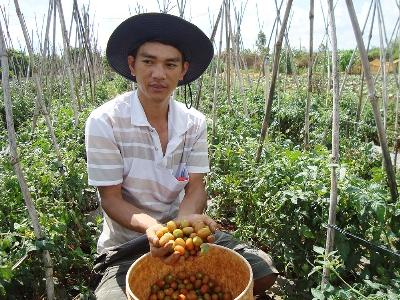 Ra đồng trong tâm thế mới