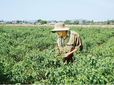 Hội Nông dân xã Đức Nhuận chung tay phát triển kinh tế và xây dựng nông thôn mới