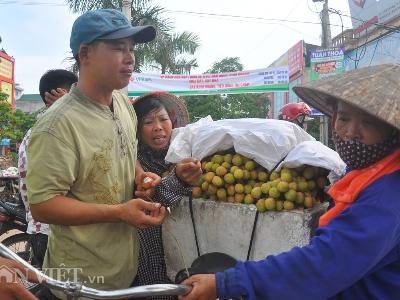 Thị trường vải thiều sớm được giá, bán chạy