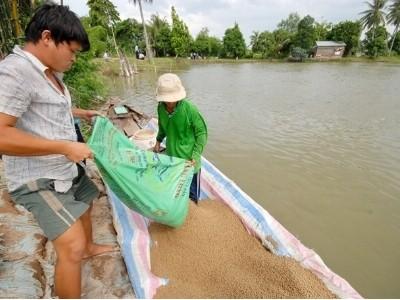 Thức ăn, thú y thủy sản kiểm tra là phát hiện sai phạm