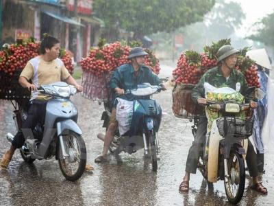 Nông sản Việt trước hội nhập tái cơ cấu, hướng tới xuất khẩu