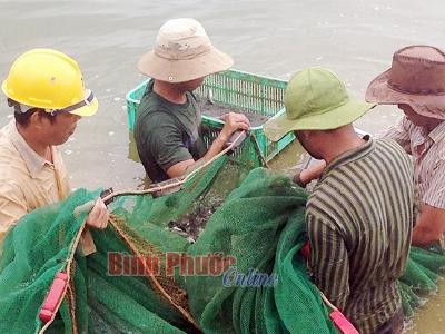 Trung tâm thủy sản sản xuất và cung ứng giống các loài thủy sản nước ngọt