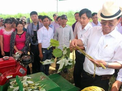 Cây gai xanh bén duyên đất xứ Thanh