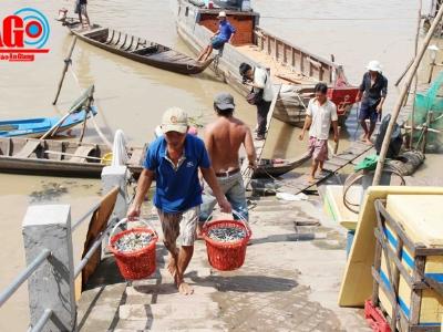 Bảo vệ nguồn lợi trời cho