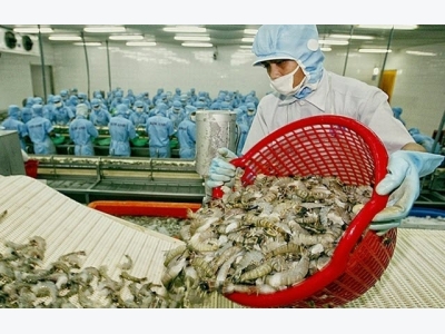 Vietnam becomes largest shrimp provider in RoK