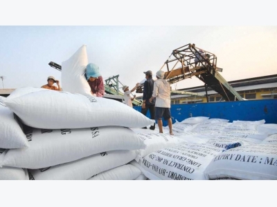 Vietnams rice exports return to growth