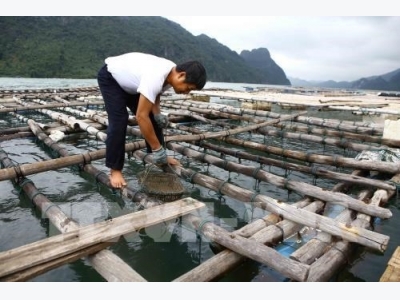 Aquaculture production picks up in May