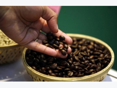 Vietnams exporters hunt for robusta coffee as supplies dwindle