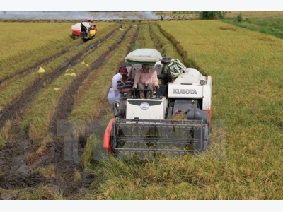 Thua Thien-Hue focuses on agricultural restructuring