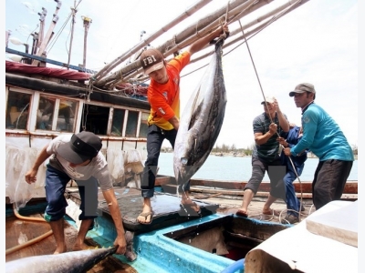 Nhiều mặt hàng thủy, hải sản ở tỉnh Bạc Liêu tăng giá mạnh