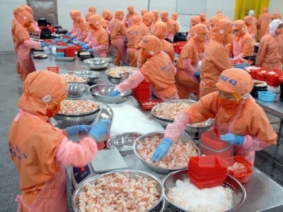 Vietnam becomes largest shrimp provider in South Korea