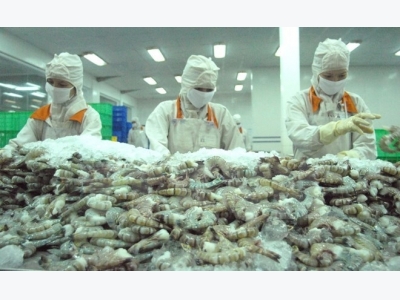 Australia agrees to re-import processed shrimps from Vietnam