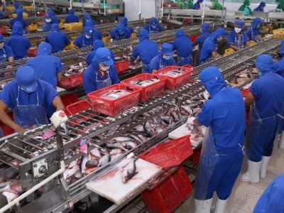 Seafood exports to China surge