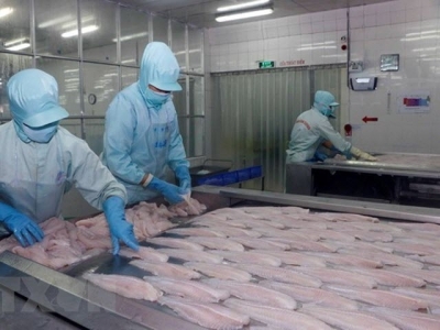 Tra fish export to US increases despite anti-dumping measures