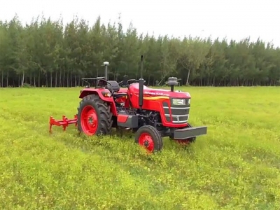 Using radish to control cyst eelworm