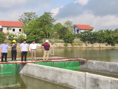 Hiep Hoa applies hi-tech in intensive fish farming