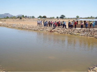 Poachers plague flagship tilapia project