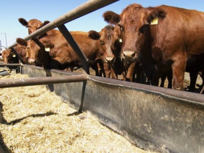 Tips offered for dealing with flooded hay, grain