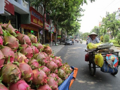 Fruit export challenges await with Chinas tighter border trade