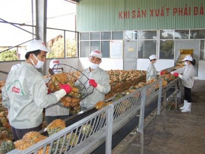 Vietnamese firms seek to adapt to official exports to China