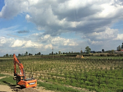 Farming in Poland, Europes growth engine