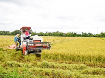 Rice exporter to benefit from the Philippines tariff reduction
