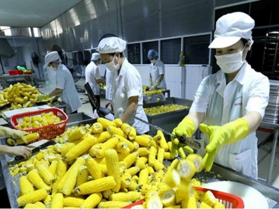 Việt Nam needs to invest in processing, packaging of agricultural products - experts