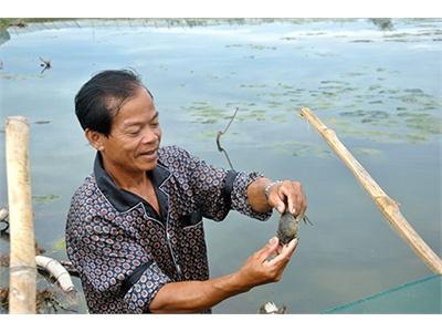 Phát Triển Mô Hình Nuôi Cua