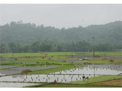 Hòa An Triển Khai 7 Mô Hình Khuyến Nông, Khuyến Ngư