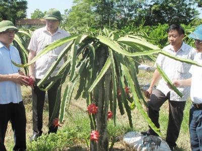 Tăng cung cấp thông tin và phản ánh trăn trở của nông dân