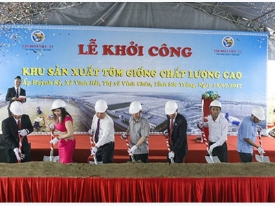 Work starts on high-quality breeding shrimp farm in Soc Trang