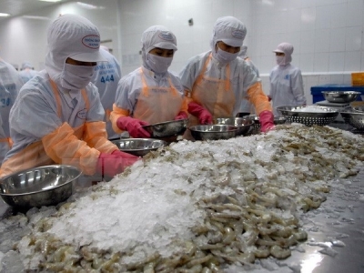 Aquatic, farm produce exports to Netherlands on the rise