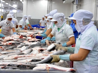 Seafood processing fuels export in Tien Giang