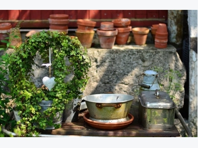 Secrets of Successful Container Gardening