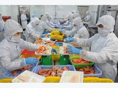 Shrimp exports earn $1.56 billion in H1