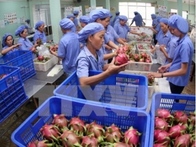 Vietnam sees feasible US$3 billion export of fruits, vegetables