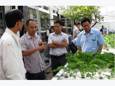 Siêu độc đáo: Làm vườn bằng công nghệ… điện toán đám mây