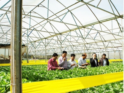 Government seeking to boost foreign investment in agriculture