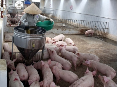 Vietnam imports animal feed worth $1.8b in H1