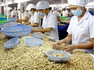 US - largest importer of Vietnamese cashew nuts