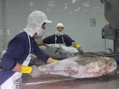 Need to build brand for export seafood