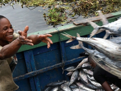 Aquaculture leads fish production, consumption to new highs