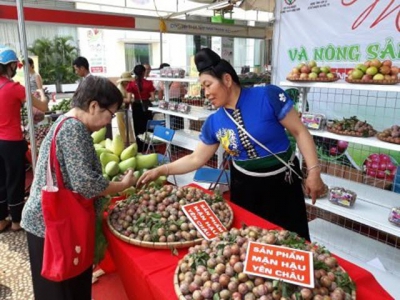 Son Las agricultural products promoted in Hanoi