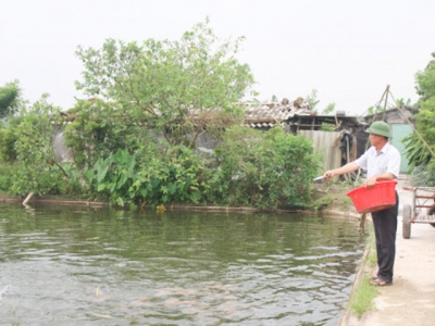 Thu lãi hàng trăm triệu đồng từ nuôi trồng thủy sản