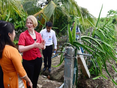 New Zealand helps Việt Nam add value to its dragon fruit